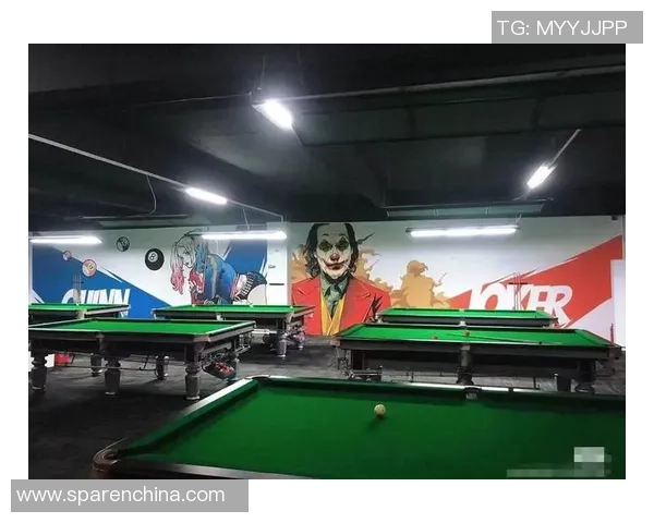 围绕台球技艺与文化探索现代休闲运动魅力与竞技精神之旅全景录集